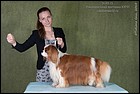 AZARTIS ISKUSITEL КЧК.jpg